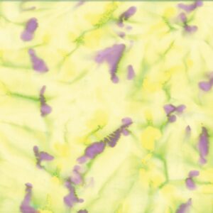 9250-41 Speckle Lime/Violet