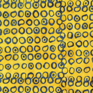 2486Q-X Yellow Echo Dots