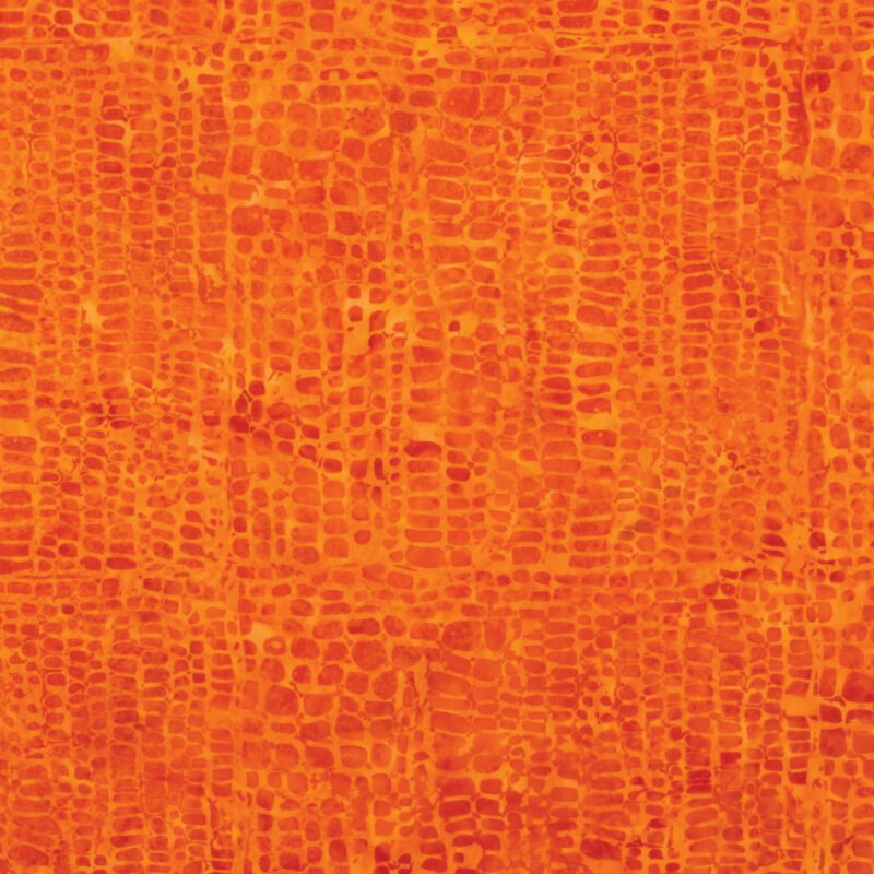 Riley Blake - BTHH1249 Clementine - Halloween Expressions - Batik Fabric